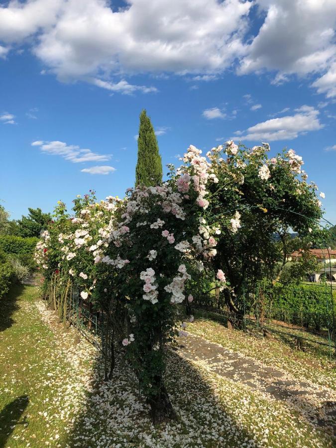 Hôtel Il Giardino Di Flora à Buti Extérieur photo
